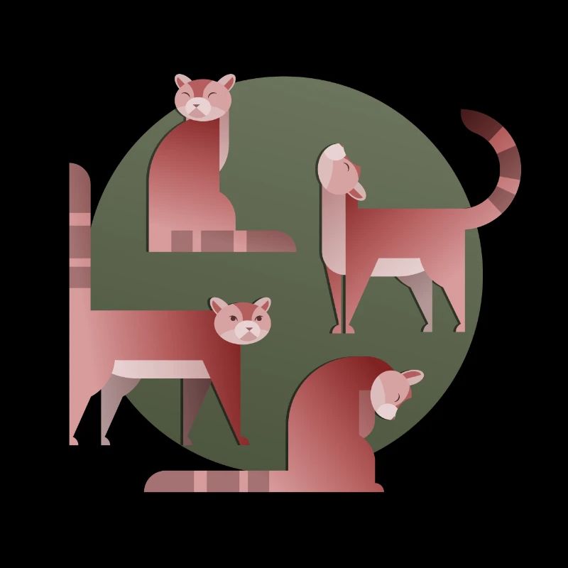 Chats dorés