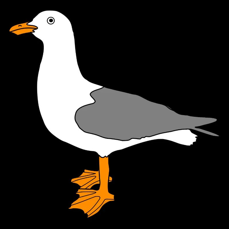 Seagull - Seagull