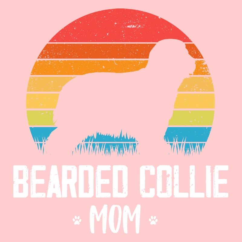 Bearded Collie