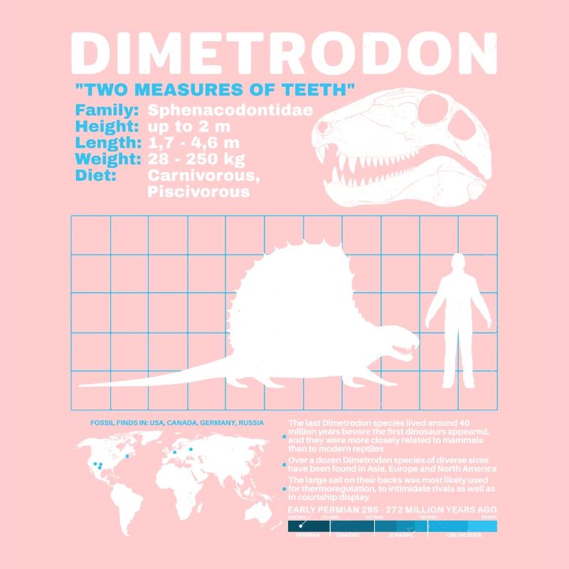 Dimetrodon Datenblatt