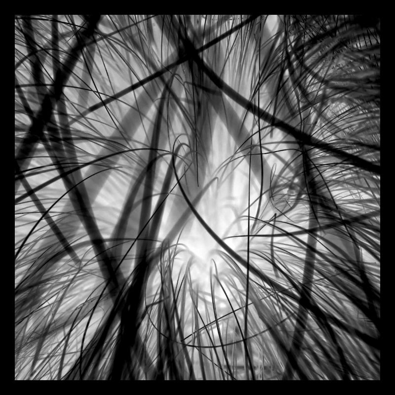 Cable clutter black and white