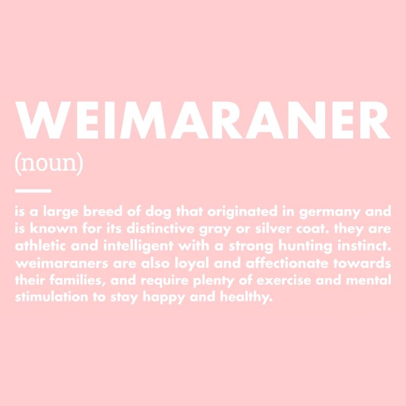 Weimaraner Definition