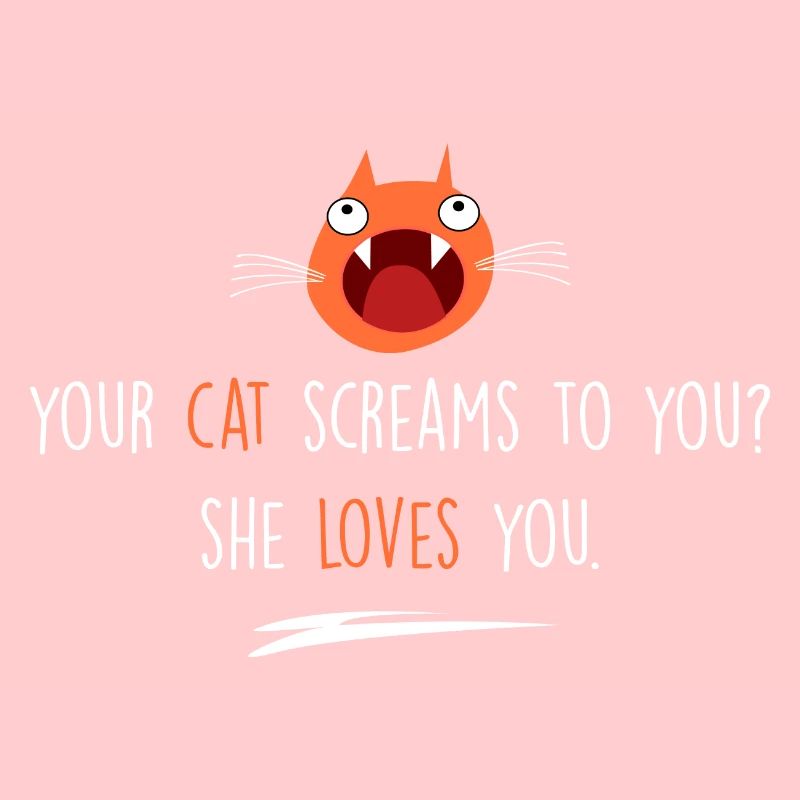 Le chat t’aime