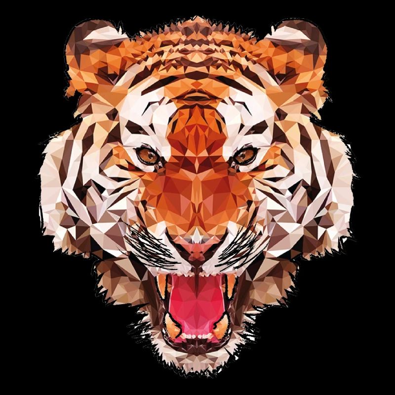 Conception de polygone de tigre