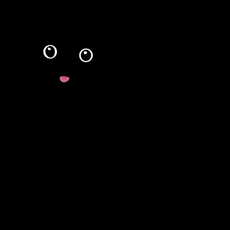 black cat - chat noir