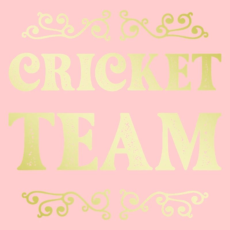 Équipe de cricket