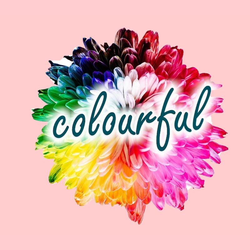 Regenbogenblume Farbexplosion