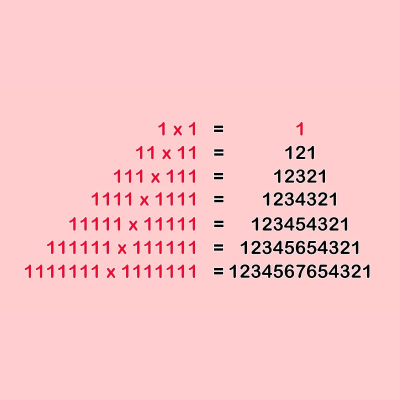 Zahl Palindrom Mathematik Physik 1x1 1^2 Geschenk
