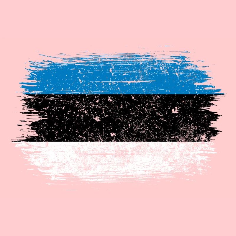 Drapeau à coups de pinceau bleu-blanc