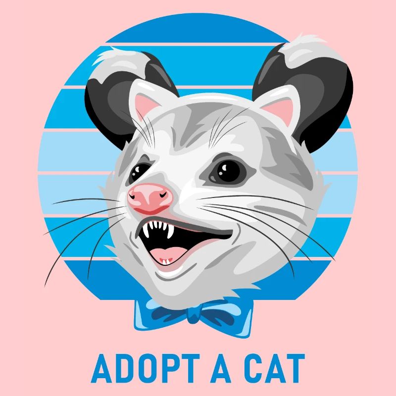 Opossum drôle. Adopter un chat