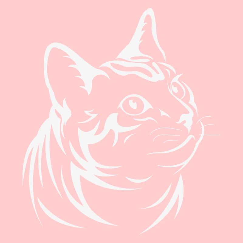 Cat Dad Bester Katzen Papa Vatertag