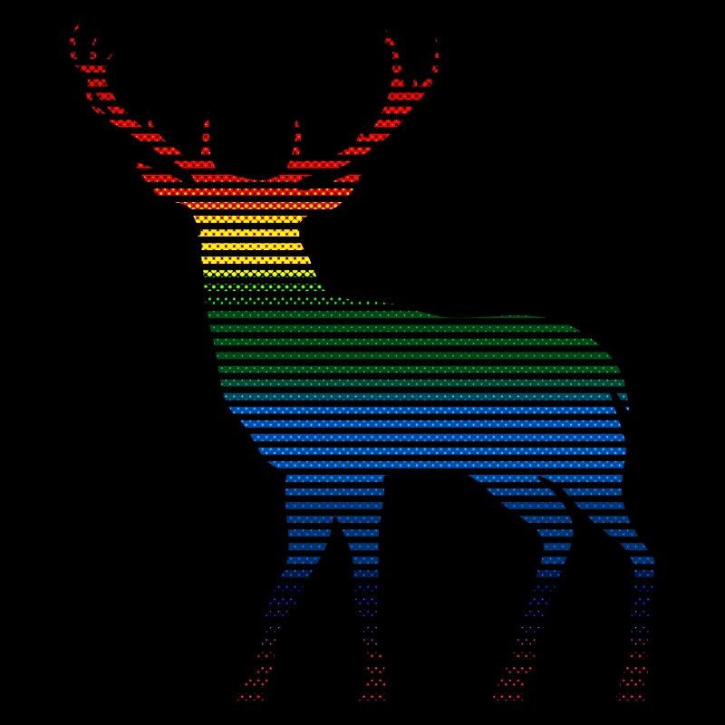 Hirsch