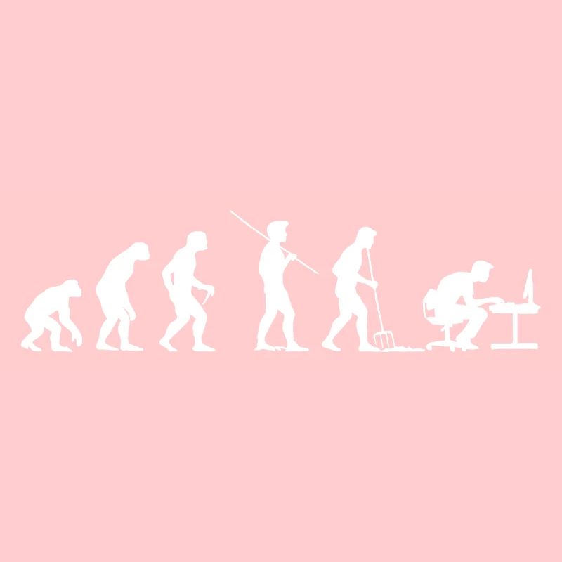Programmeur Evolution Geek