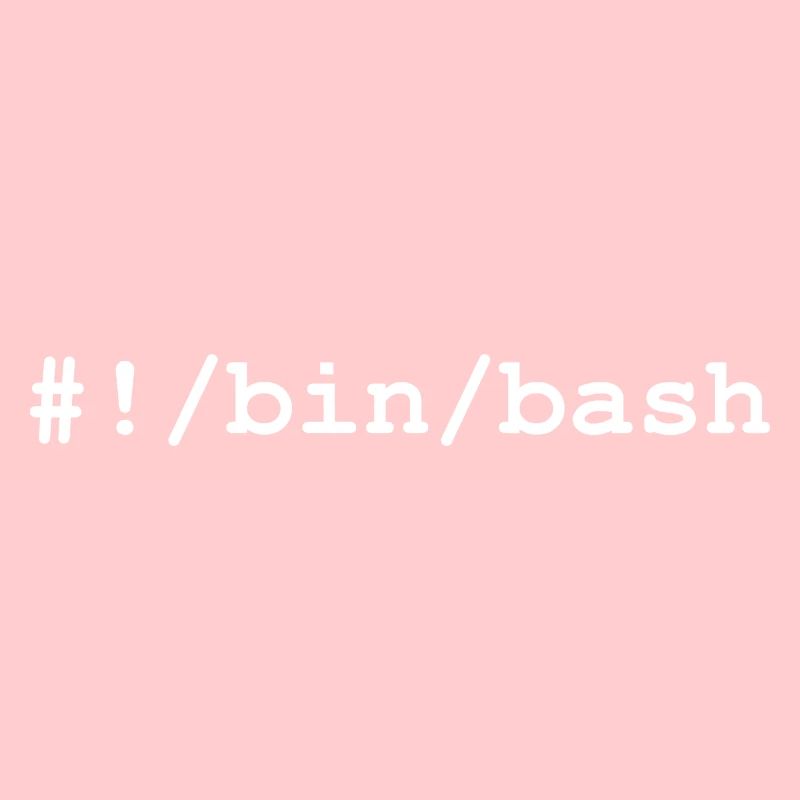 Shell bash / bourne-again sous Linux et Unix