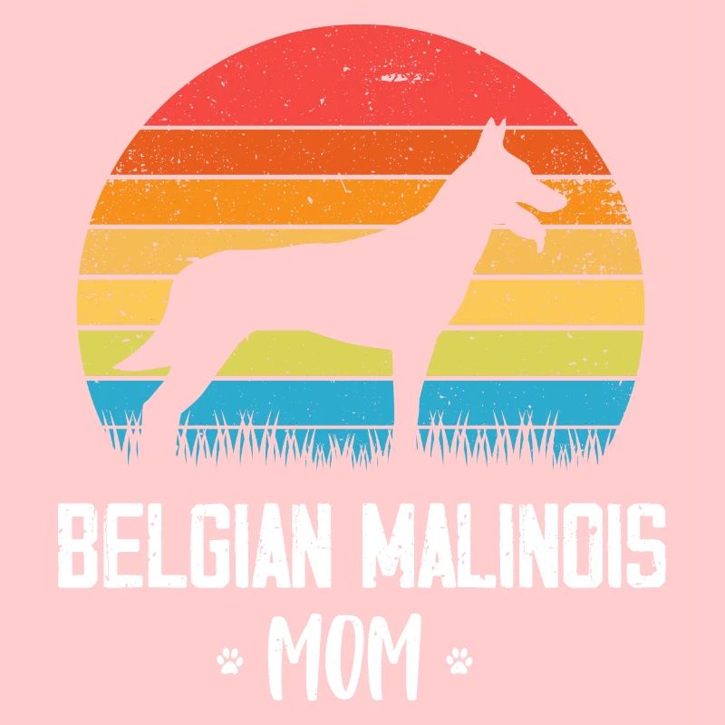 Malinois Belgian Shepherd