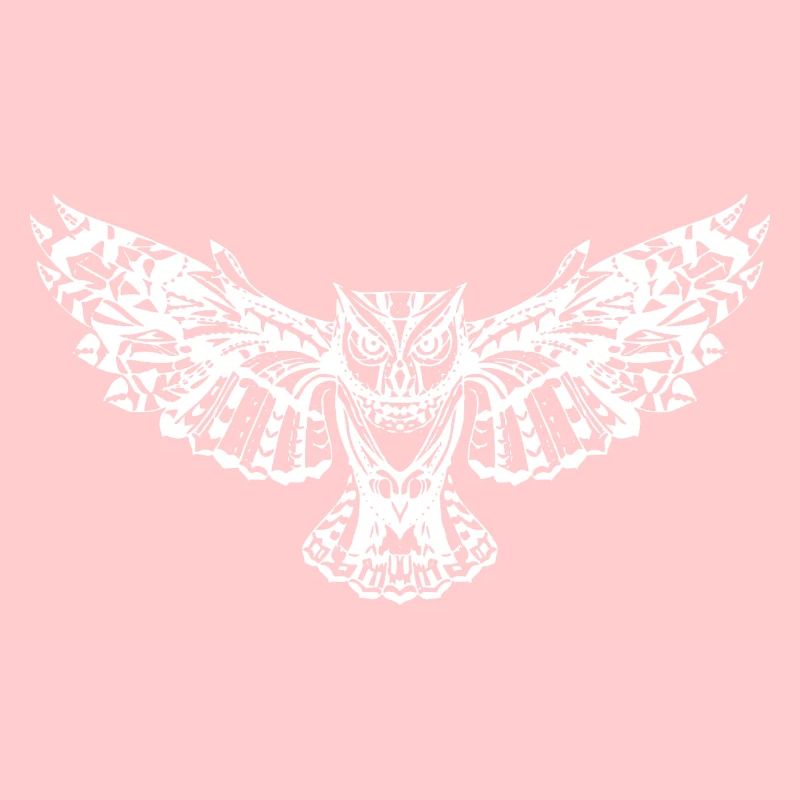 wunderschöne Eule mit gespreizten Flügeln