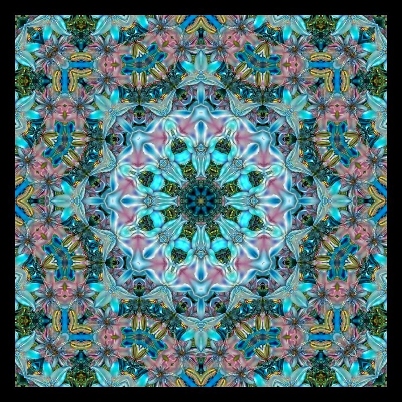 KALEIDOSCOPE LYS ABSTRAITS 2 FLEURS 2