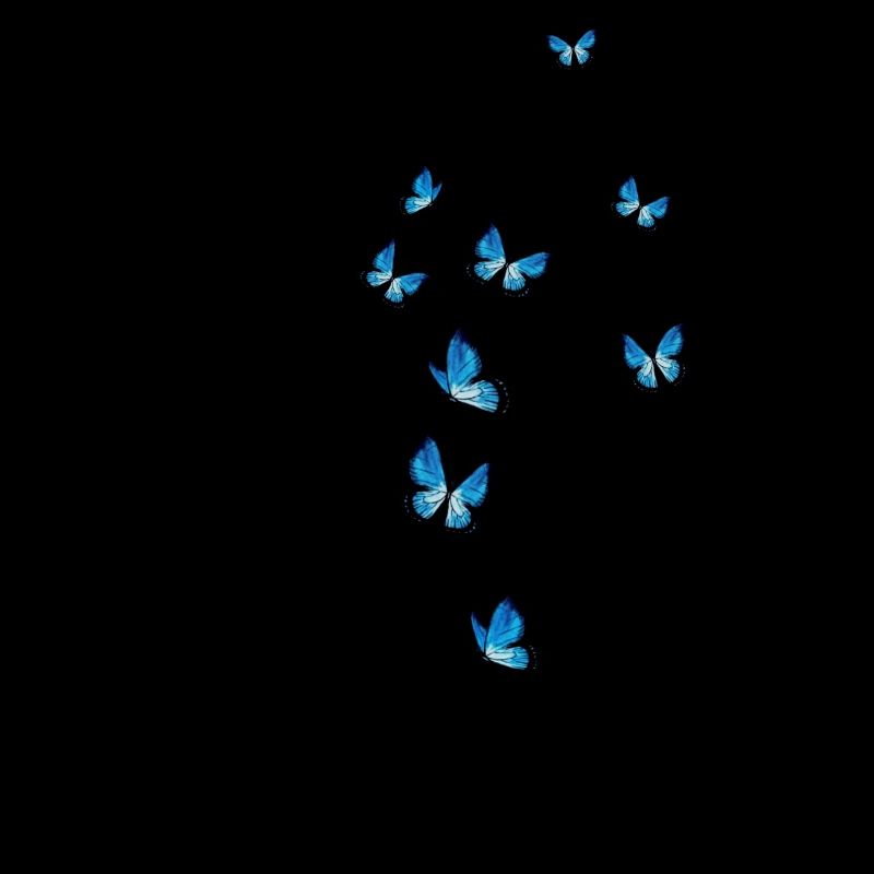 Papillon ligne type visage