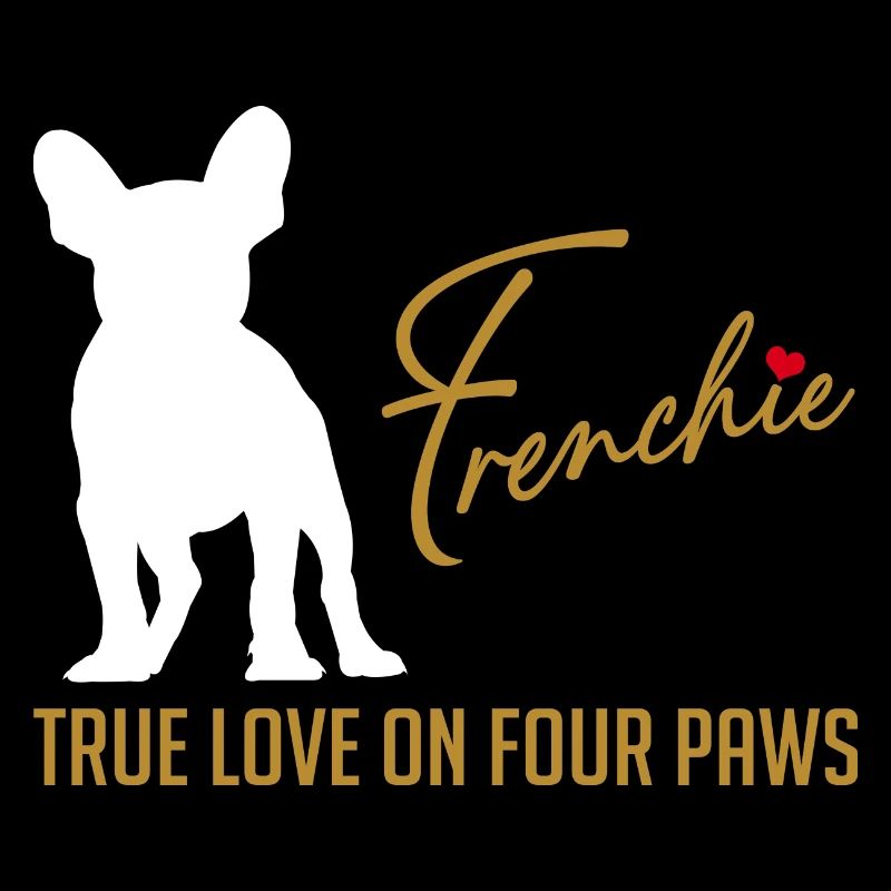 Frenchie Liebe auf vier Pfoten
