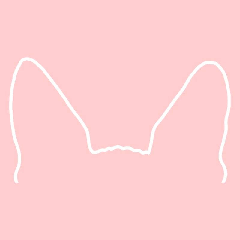 Sphynx Ohren