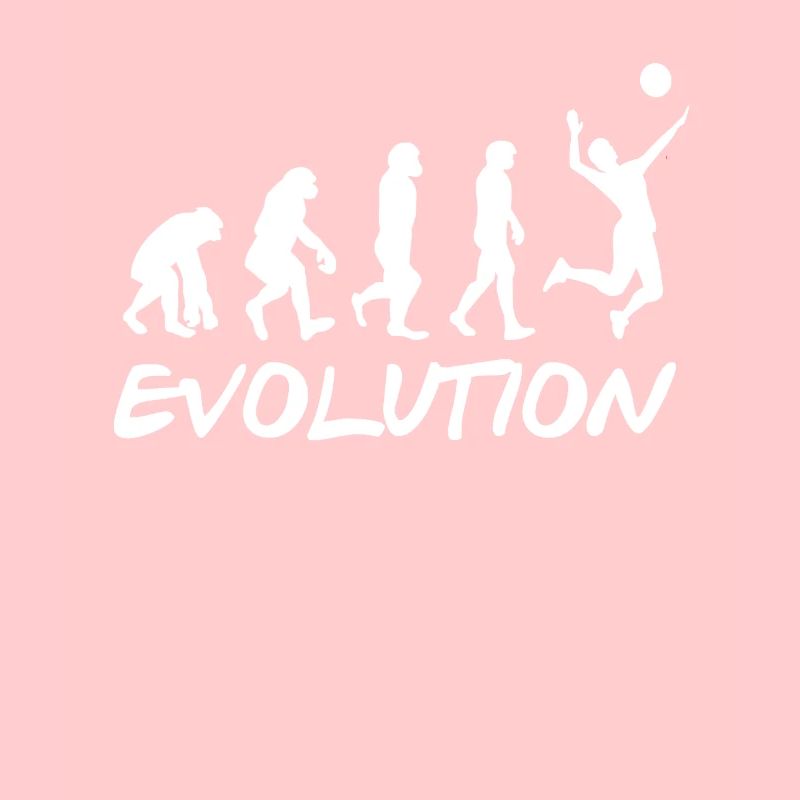 Volleyball Evolution