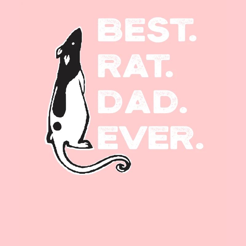 Rat de compagnie