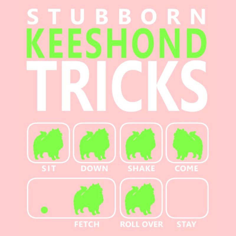 Astuces de Keeshond tenaces