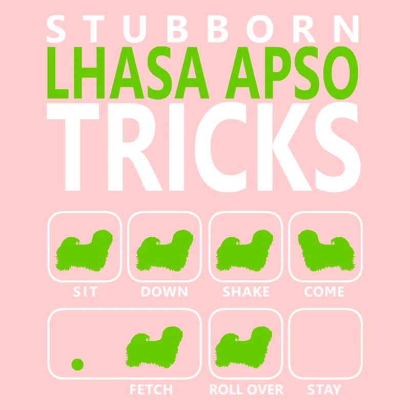 Stubborn Lhasa Apso Tricks