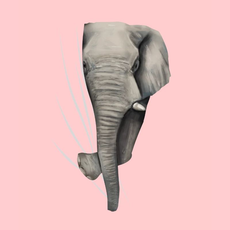 Elephant elephant elephant lover gift