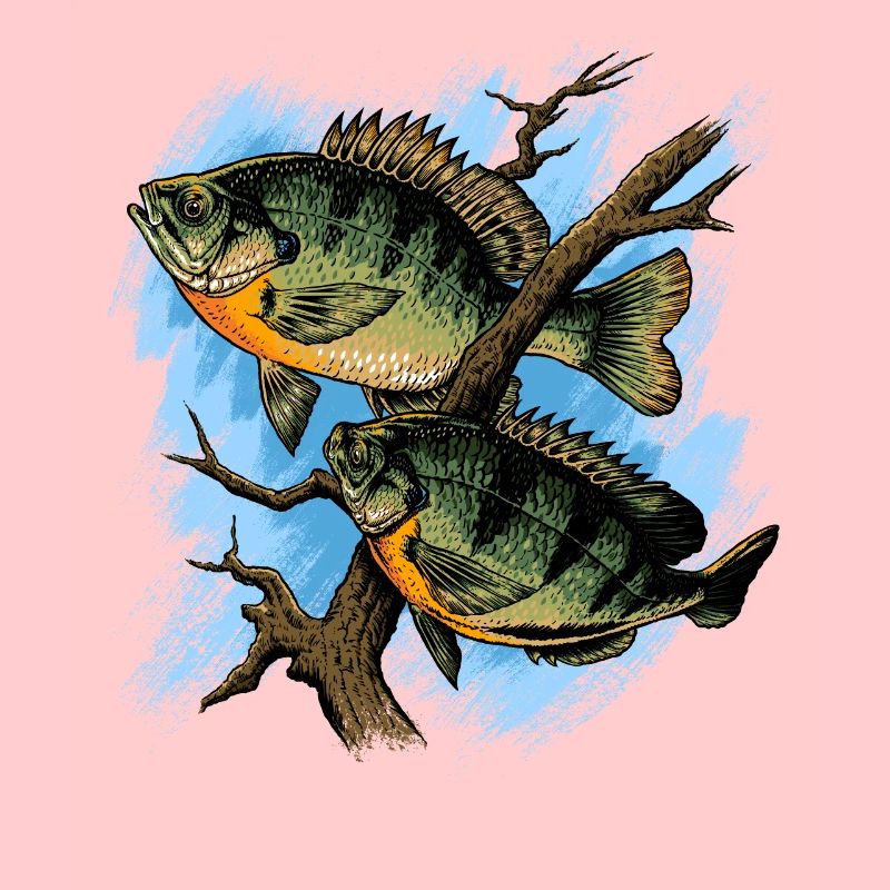 Crapet Arlequin Illustration Pêche Pullover conception