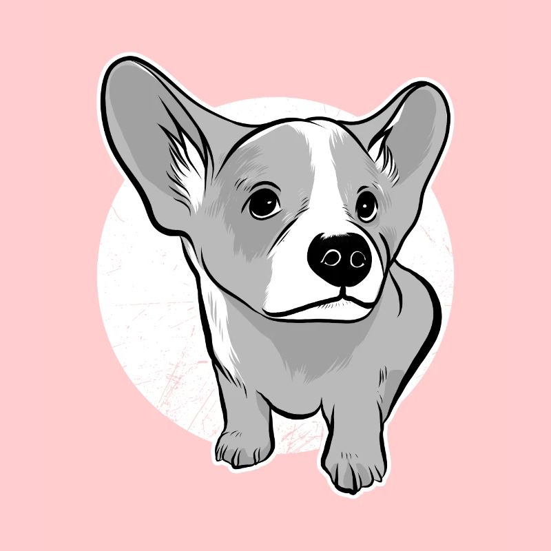 Corgi Welpe