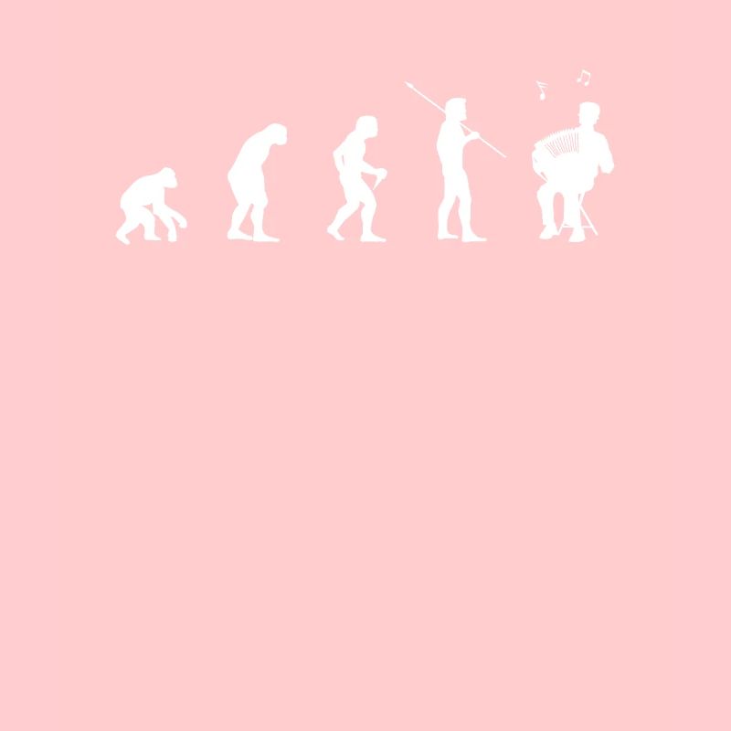 Ziehharmonika Evolution - Akkordeon Geschenkidee