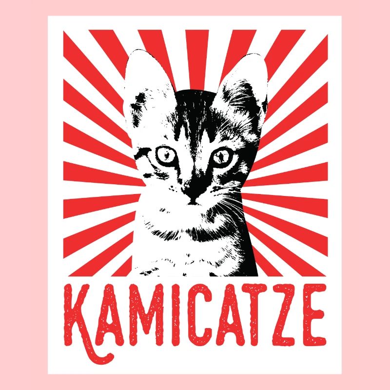 Kamicatze chat mignon chat chat grincheux chats chats
