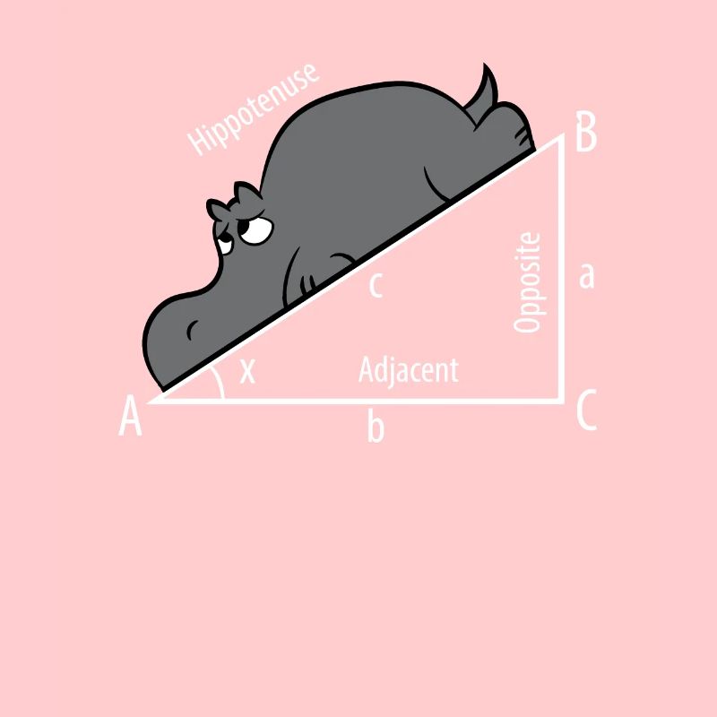 Mathe Pythagore Hypothenuse Hippopotame