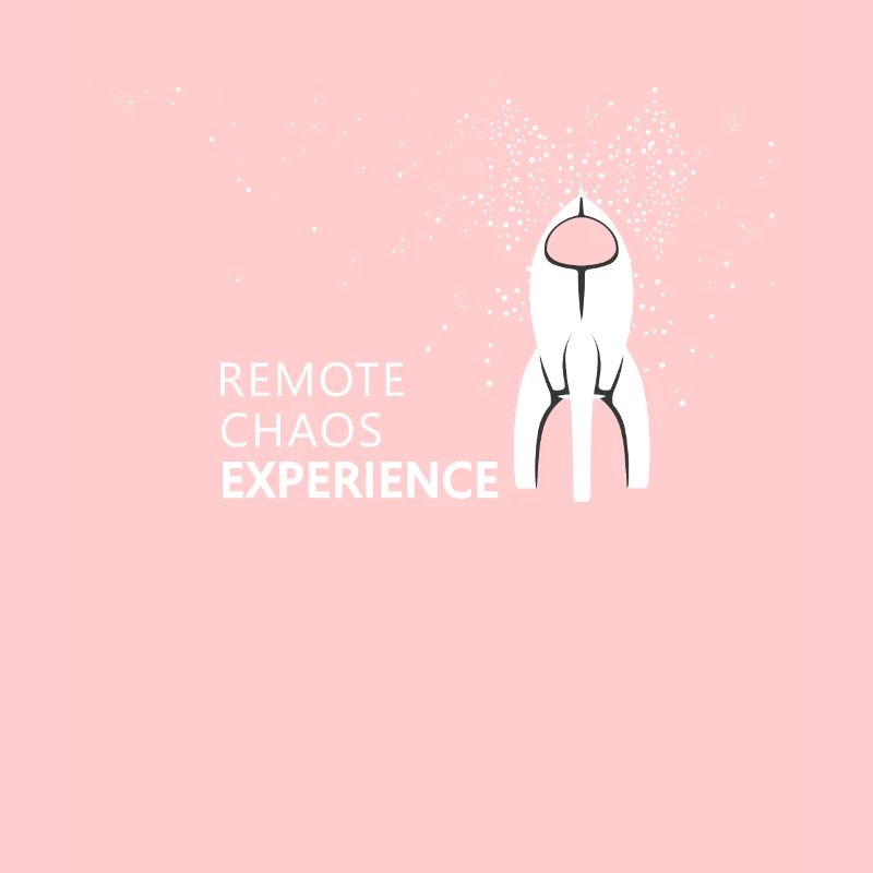 remote chaos experience - CCC Congrès Hacker r C3