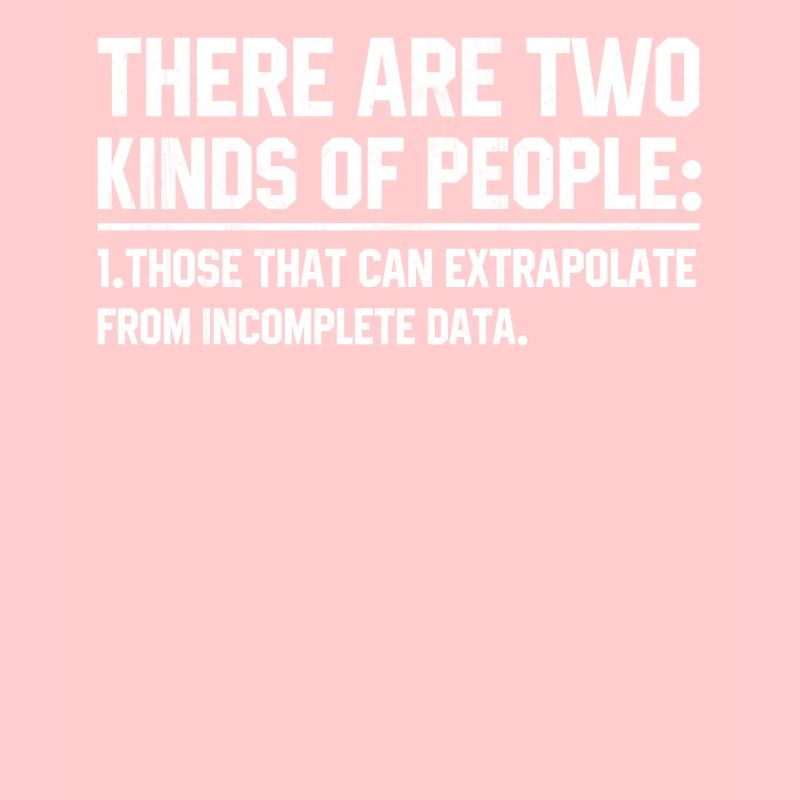 Software Developer Programmierer