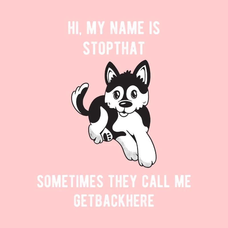 My Name Is Stopthat Getbackhere Pomsky Hyper Dog