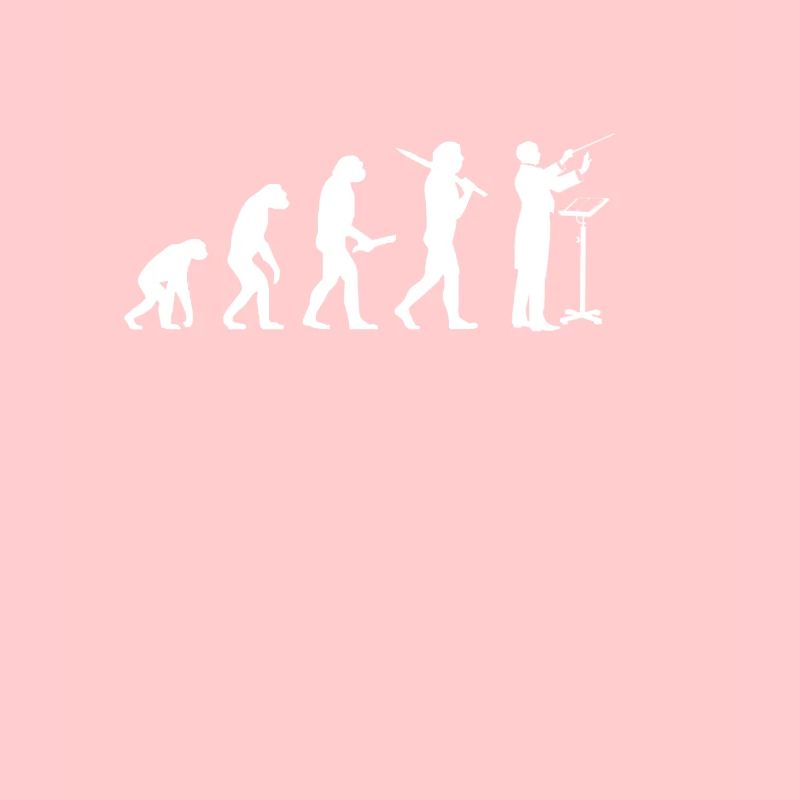 Ensemble de chef d'orchestre idée cadeau évolution