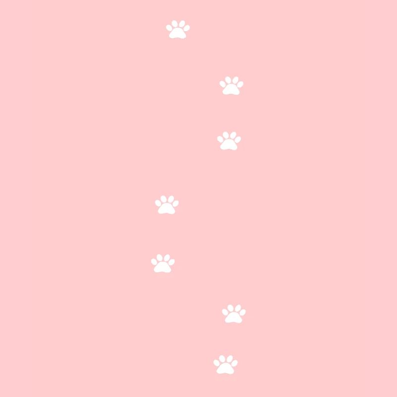Paws