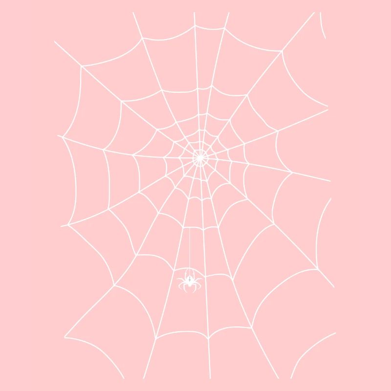 Spider web, spider, spider in the web