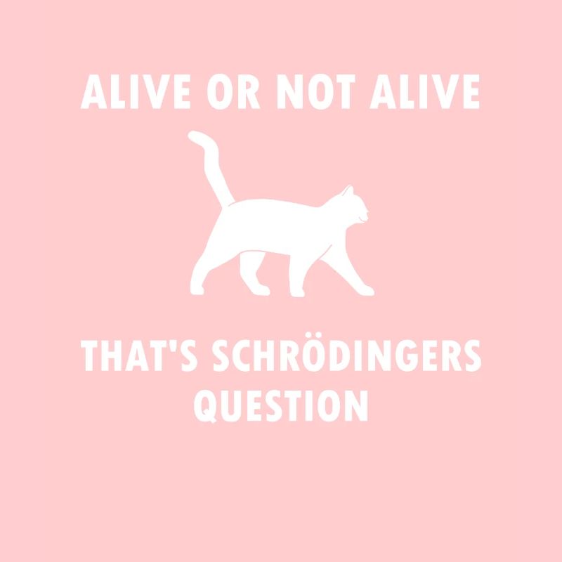 Chat De Schrödinger - physicien cadeau de physique nerd