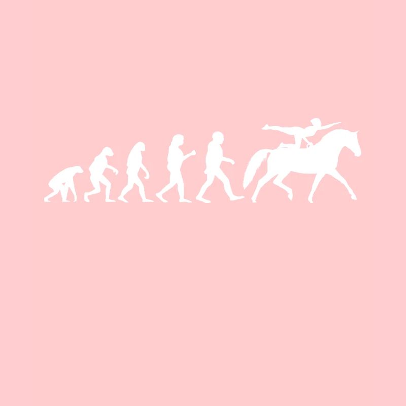 Evolution Voltigier Pferde Pferdesport Voltigieren
