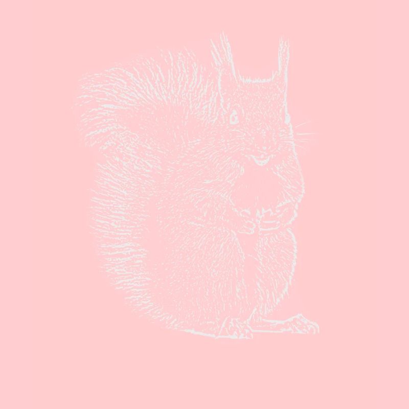 Eichhörnchen