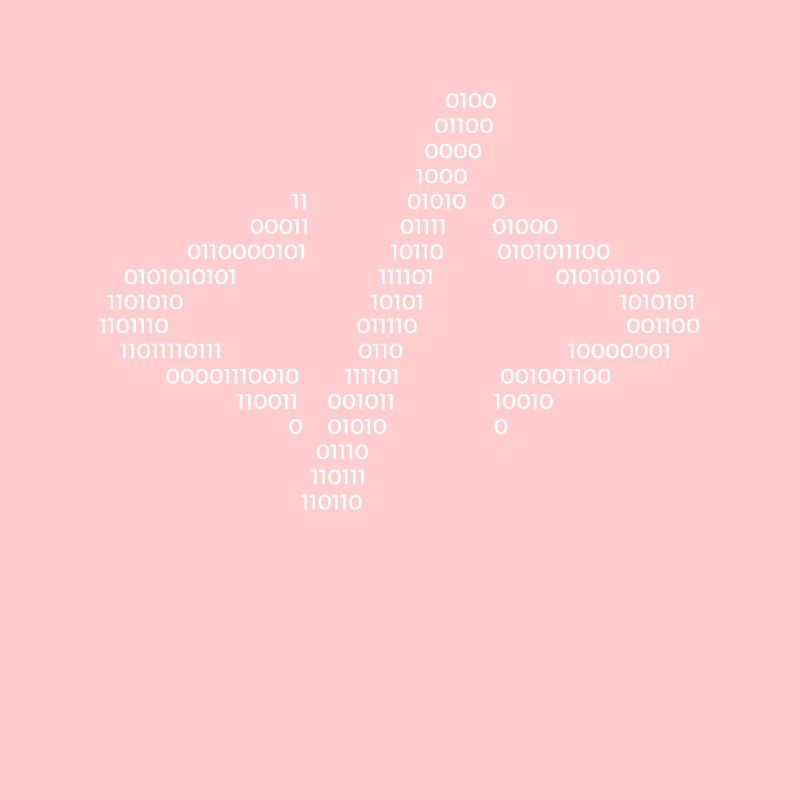 Hacker Hacking Code Computer Java Spruch Geschenk