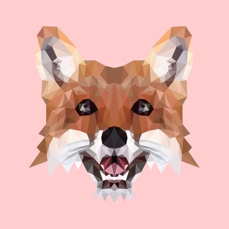 Fuchs Polygon Geometrisch Waldtier Geschenkidee