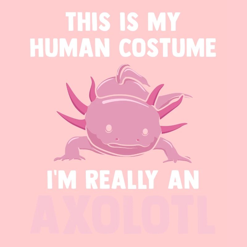 Axolotl