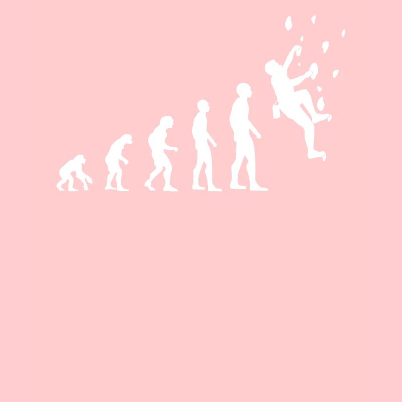 Kletterer Evolution Kletterwand Kletterhalle