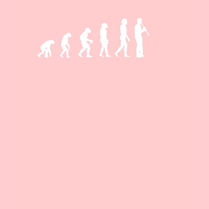 evolution of clarinet