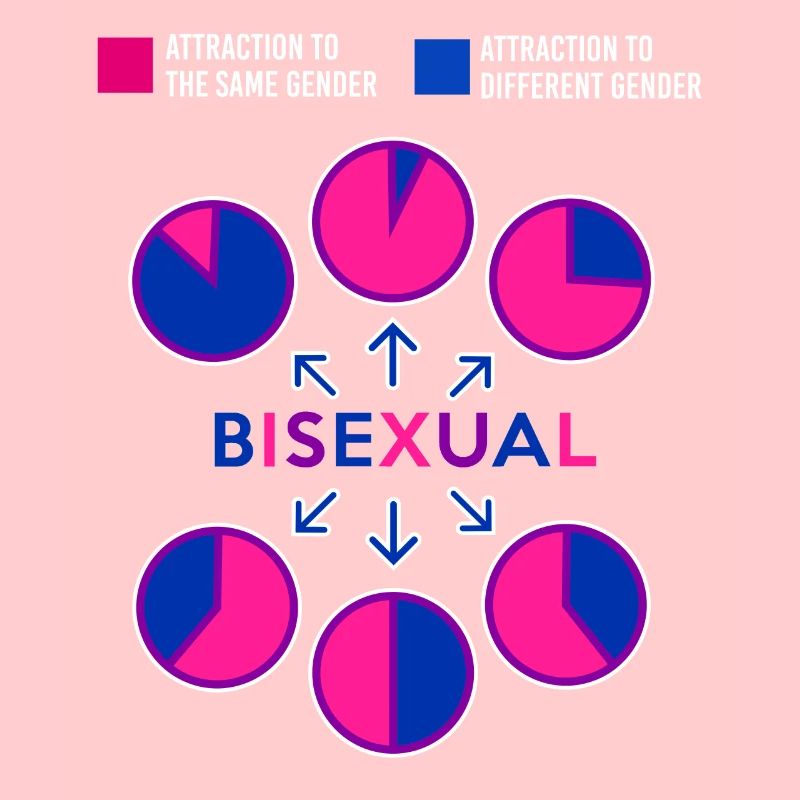 Bisexual Bi Pride Flag Pie Chart