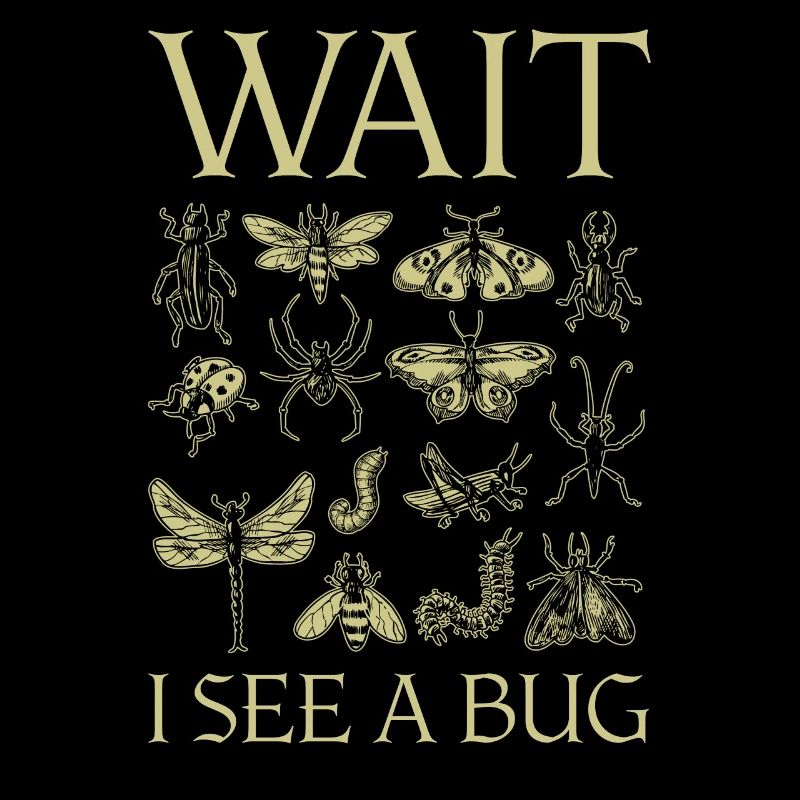 Wait I See A Bug Insects And Bug Lovers